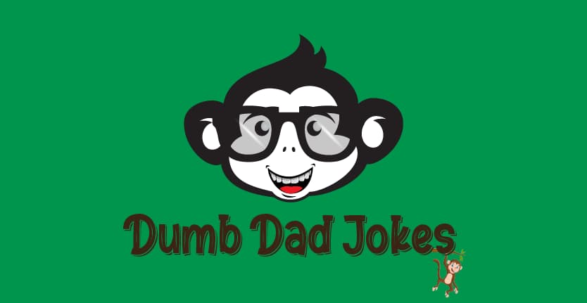 Dumb Dad Jokes 2021 That Are Really Funny