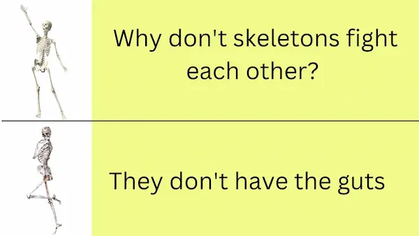 Why don't skeletons fight each other 